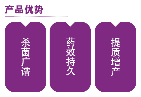 31%瀵＄硸路鍚楀懕鍙憾綺夊墏-姣掑崼澹?鍙穇04.jpg