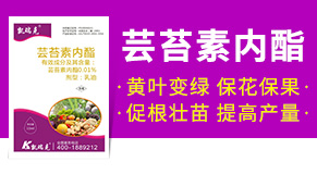 河北凱瑞克農(nóng)業(yè)科技有限公司