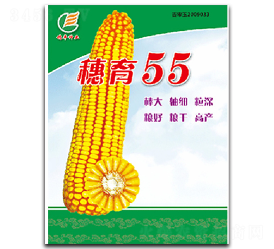 穗育55-玉米種子-穗豐種業(yè)