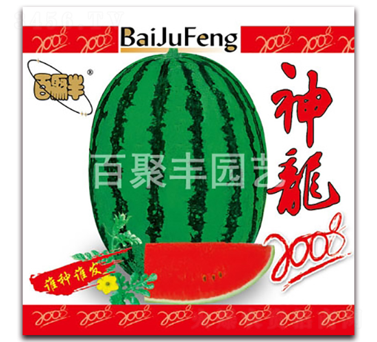 神龍2008-西瓜種子-百聚豐