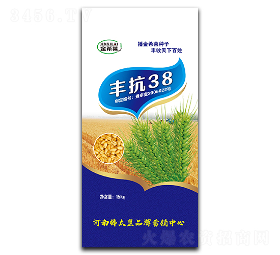 豐抗38（小麥種子）-金希萊-鼎冠種業(yè)