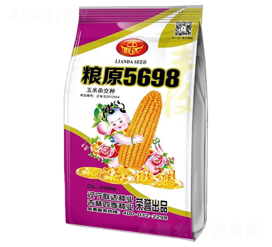 糧原5698-玉米種子-四季種業(yè)