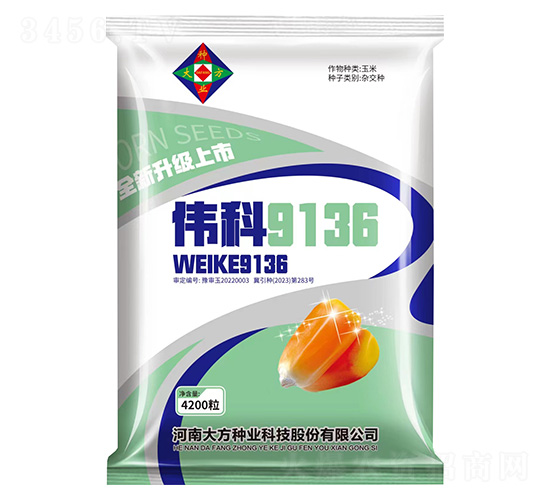 玉米種子-偉科9136--研創(chuàng)種業(yè)