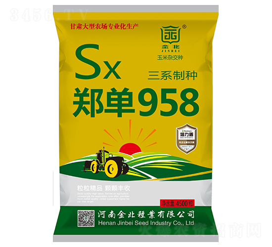 鄭單958-玉米雜交種子-金北種業(yè)