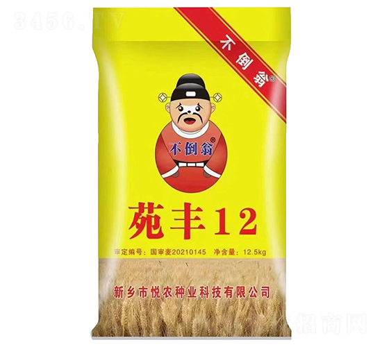 范豐12-小麥種子-不倒翁