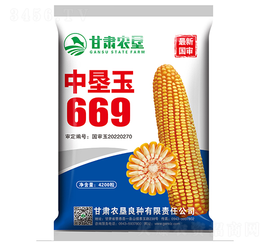 中墾玉669-玉米種子-甘肅農(nóng)墾