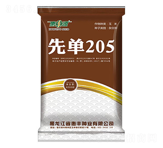 先單205-玉米種子-惠豐源