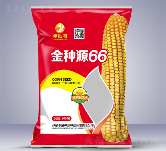 金種源66-玉米種子-金種源