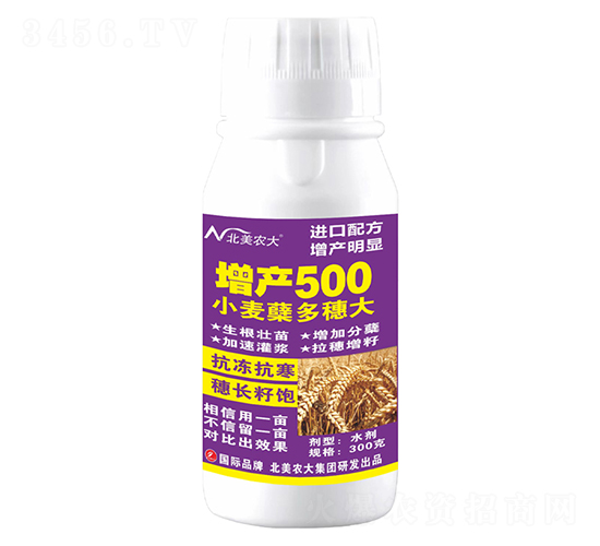 300g小麥蘗多穗大增產(chǎn)500-北美農(nóng)大