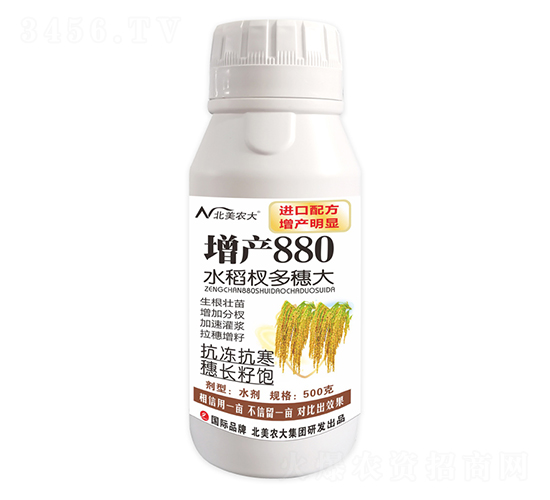 500g水稻杈多穗大-增產(chǎn)880-北美農(nóng)大