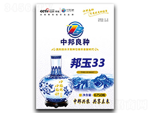 邦玉33-玉米種子-中邦農(nóng)業(yè)