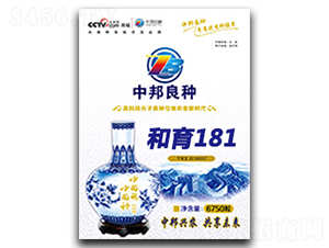 和育181-玉米種子-中邦農(nóng)業(yè)