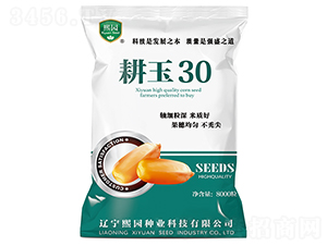 耕玉30-玉米種子-熙園種業(yè)