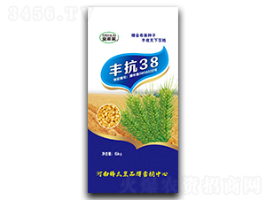 豐抗38（小麥種子）-金希萊-鼎冠種業(yè)