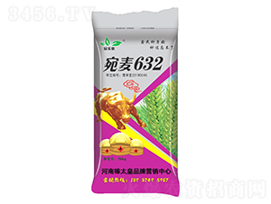 宛麥632（小麥種子）-民樂意-鼎冠種業(yè)