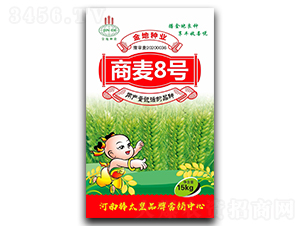 商麥8號（小麥種子）-鼎冠種業(yè)