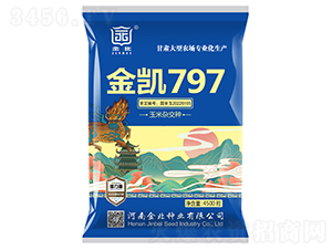 金凱797-玉米雜交種子-金北種業(yè)