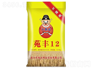 范豐12-小麥種子-不倒翁