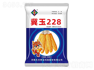 玉米種子-冀玉228-研創(chuàng)種業(yè)