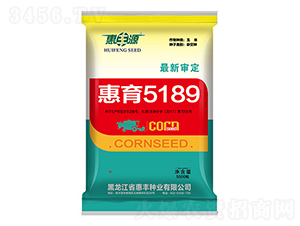 惠育5189-玉米種子-惠豐源