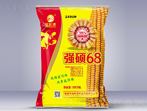 強碩68-玉米種子-金種源