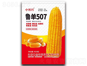 魯單507玉米種子-中博科-魯杰農(nóng)業(yè)