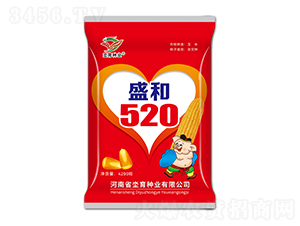 盛和520-玉米種子-坔育種業(yè)